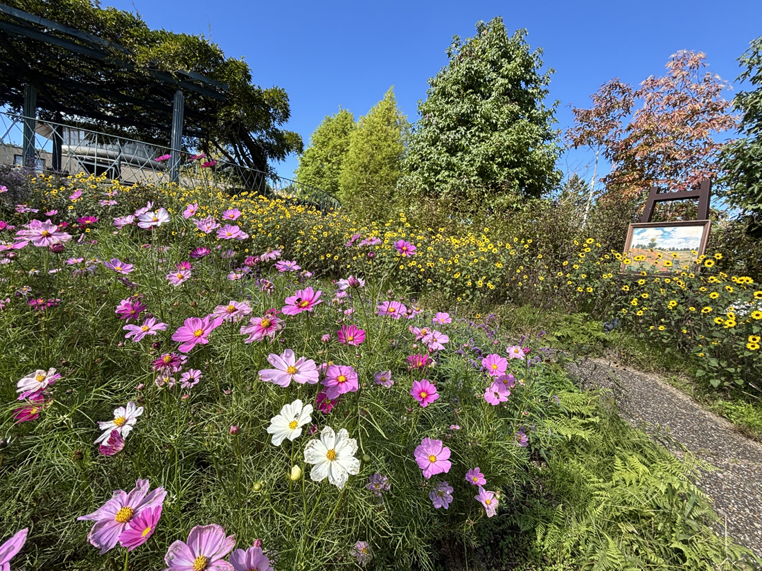 10月の定休日のお知らせ（毎週水曜日）